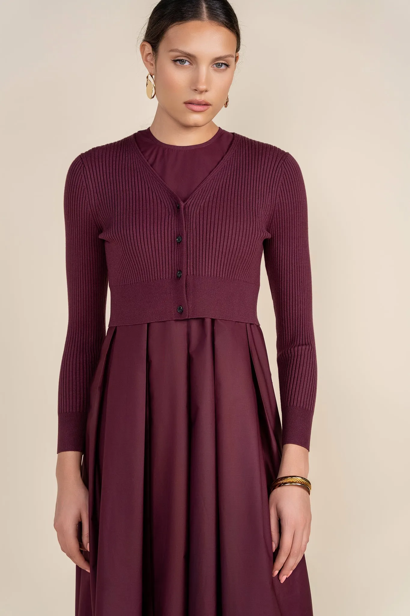 Folie Dress in Plum