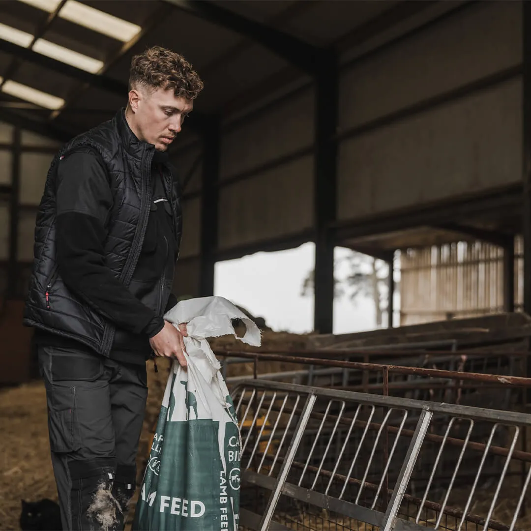 Granite Ripstop Gilet by Hoggs of Fife