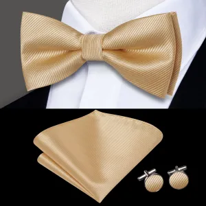 Hi-Tie Mens Necktie Beige Striped Pre-tied Bow Tie Hanky Cufflinks Set