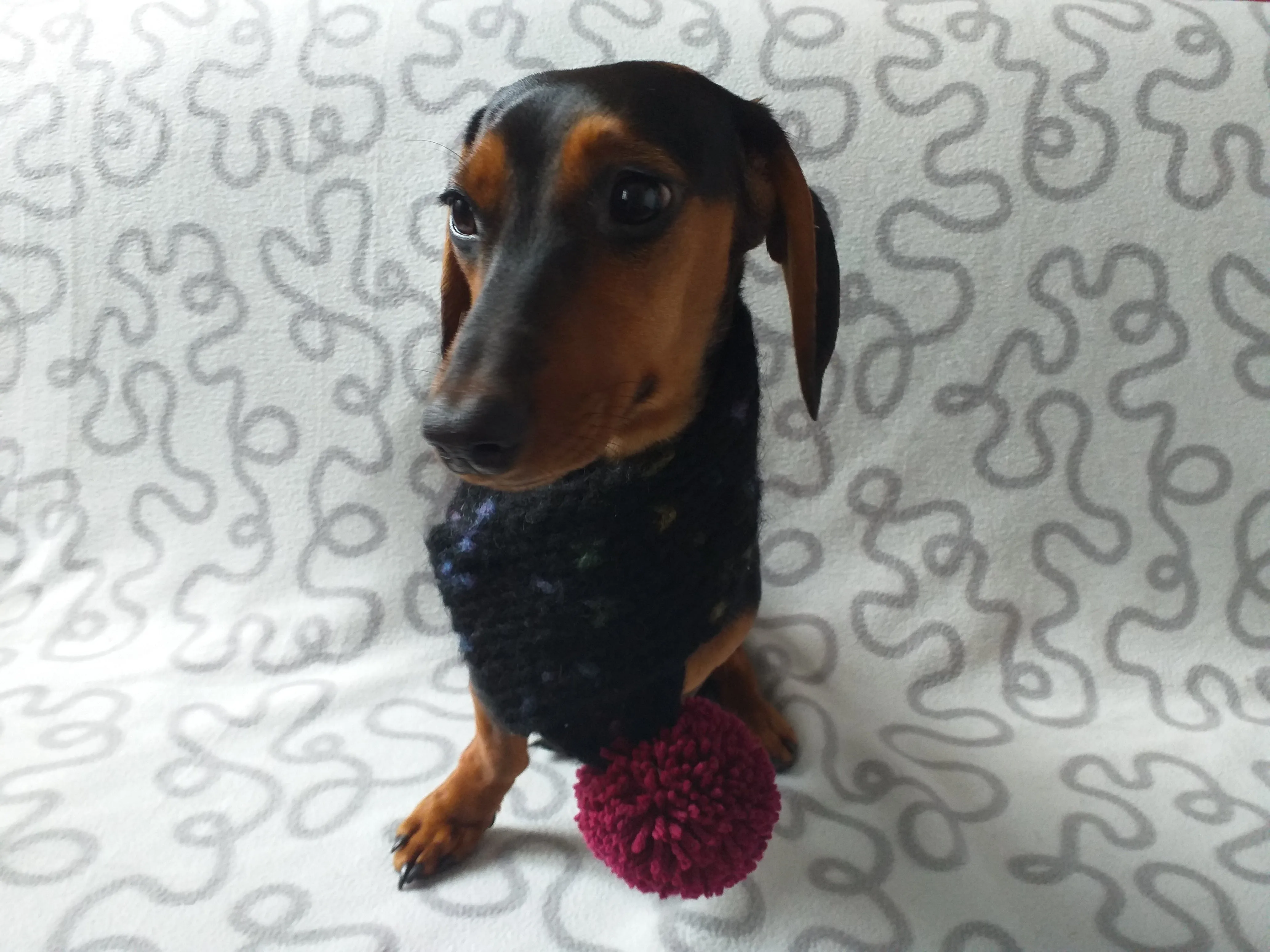 Knitted PomPom Scarf for Dachshund or Small Dog, Knitted Warm Wool Pet Scarf, Dog Scarf Clothes, Christmas dog Gift, Winter Dog Accessories