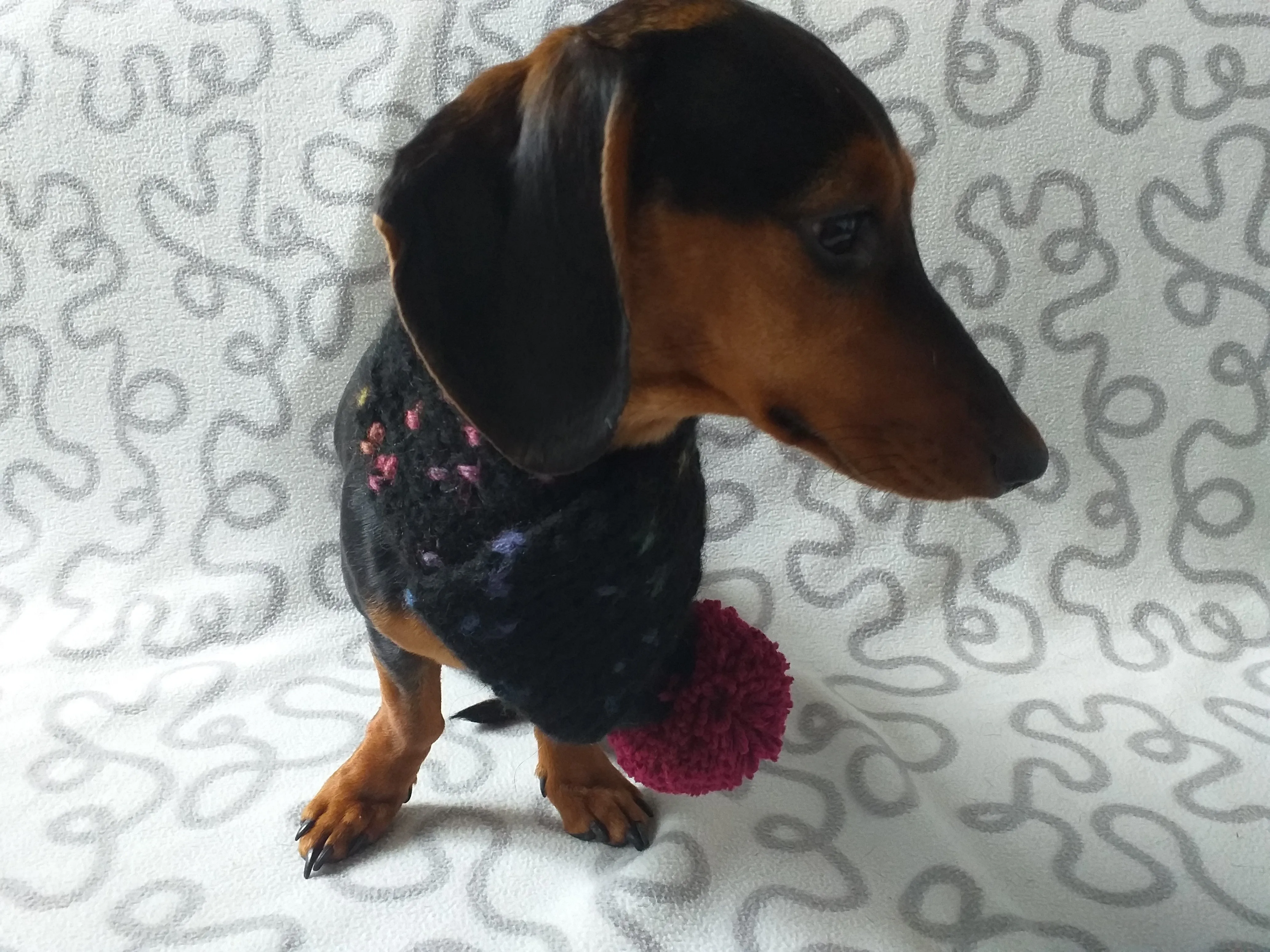 Knitted PomPom Scarf for Dachshund or Small Dog, Knitted Warm Wool Pet Scarf, Dog Scarf Clothes, Christmas dog Gift, Winter Dog Accessories