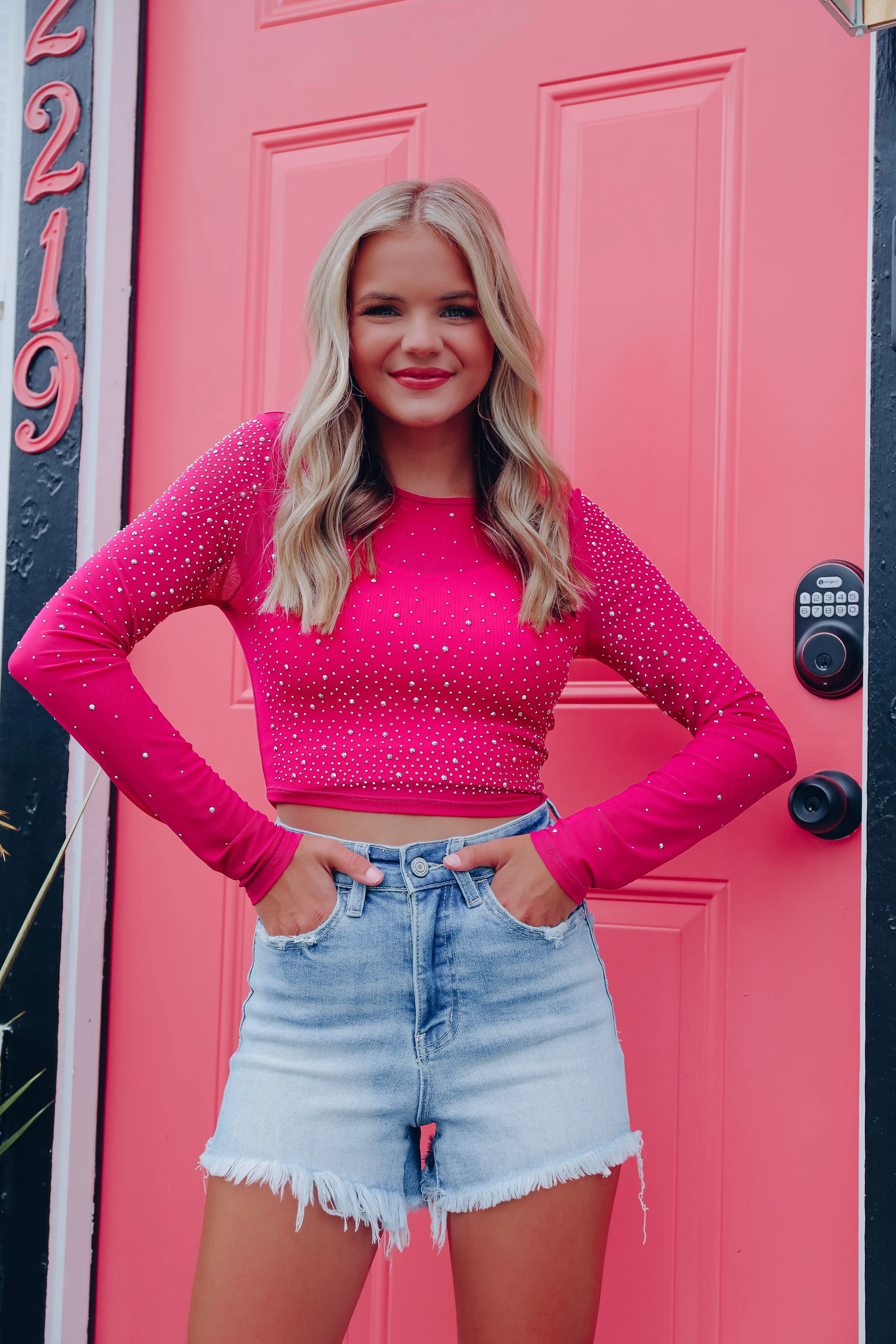 Lida Rhinestone Mesh Crop Top - Magenta