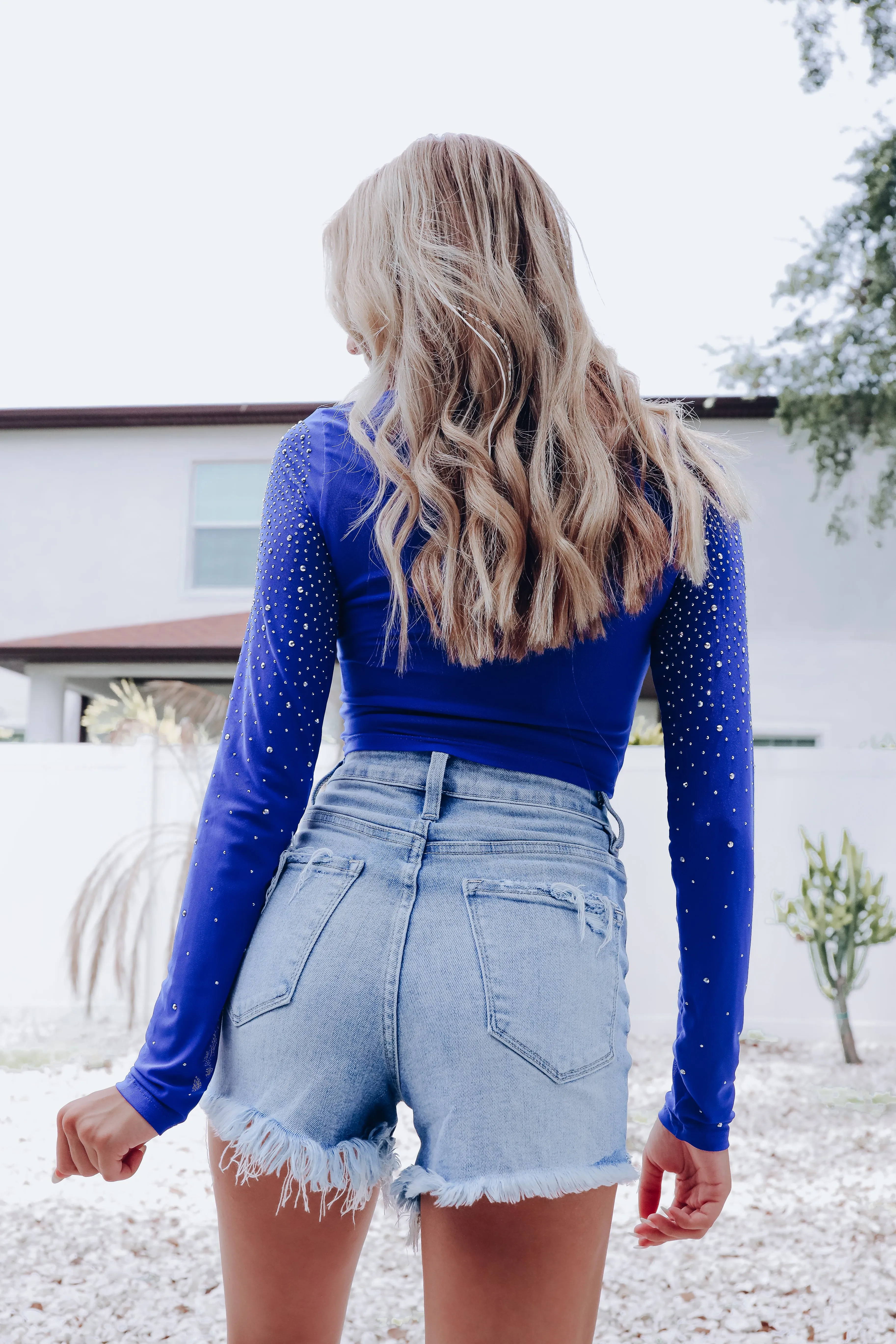 Lida Rhinestone Mesh Crop Top - Royal Blue