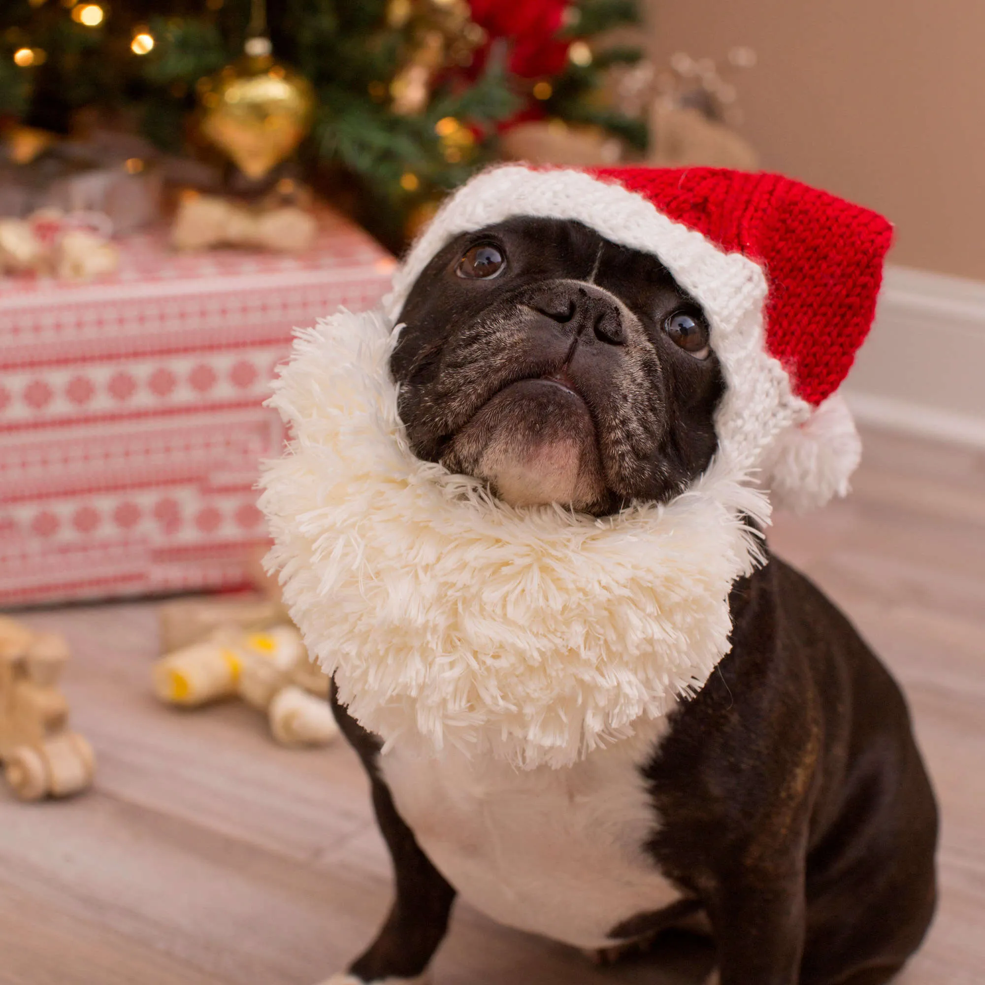 Red Heart Knit Santa Doggie Hat